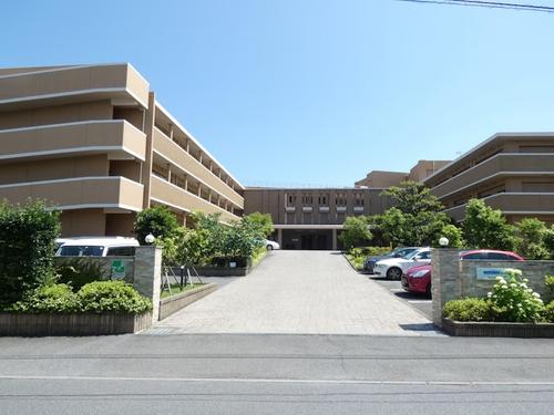 ネオ・サミット茅ヶ崎