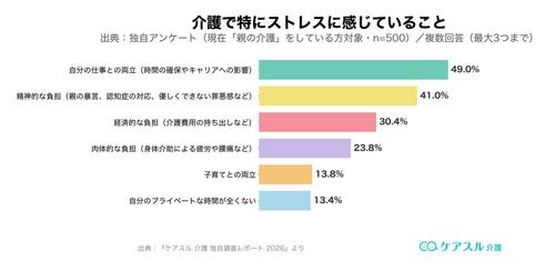 介護で特にストレスに感じていること